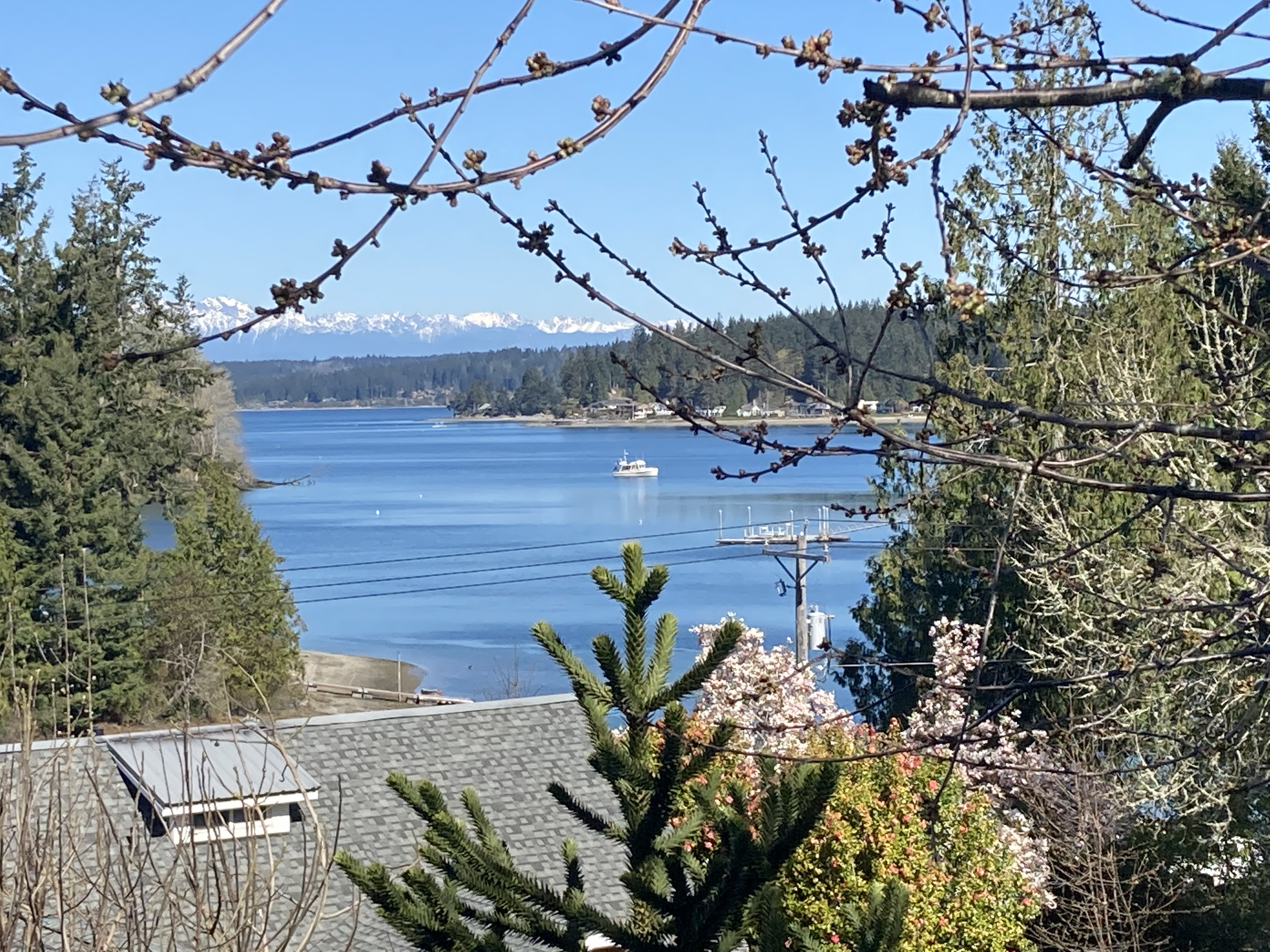 From Deck